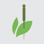 Acupuncturist