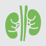 Nephrologist