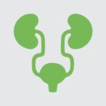 Urologist